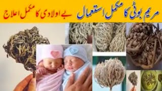 Maryam phool ke Fayde How To Use Maryam Booti Nabi Booti ke Fayde in Urdu Text By Saira Abrar Vlogs [upl. by Nossah]