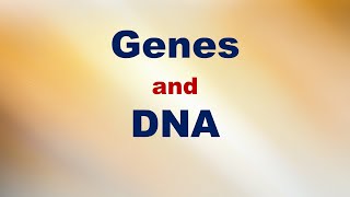 Genes and DNA Short Explanation [upl. by Moscow]