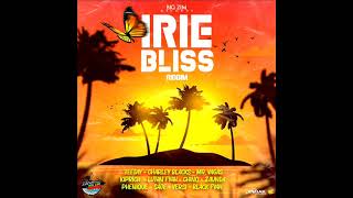 Irie Bliss Riddim Mix Full Feat Charly Black Lutan Fyah Zamunda Mr Vegas March 2021 [upl. by Maram]