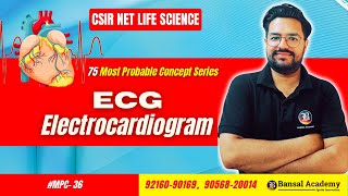 MPC36 ECG Electrocardiogram  Animal Physiology  Most important topicsCSIR NET Life Science 2024 [upl. by Early]