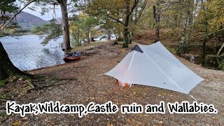 KayakWildcampCastle ruins and Wallabies on Loch Lomond [upl. by Meuse751]