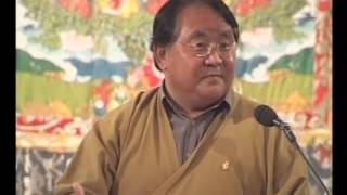 Sogyal Rinpoche  Discovering who we really are [upl. by Alilak28]