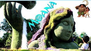 WOW THE REALLIFE TE FITIDISNEYS MOVIE MOANAHeart of Te fiti Family trip [upl. by Bonneau746]