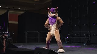 Midwest FurFest 2017 Dance Competition  Strobes [upl. by Adaynek]