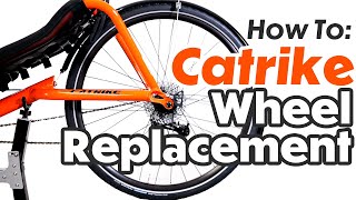 Trike Tutorial Catrike Wheel Replacement [upl. by Season435]