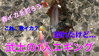 武士の1人釣行⁉️エギングでイカを釣ろう🦑 [upl. by Ayisan43]