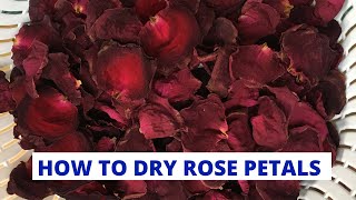 How to Dry Rose Petals  DIY Drying Rose Flowers  What to do with roses [upl. by Sherrer962]