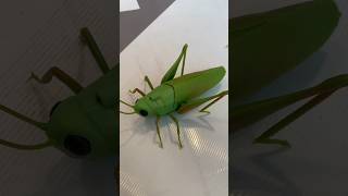 Tipmant RC Grasshopper Remote Control Grass Hopper Animal Toy Electronic Locust Fake Insect toy [upl. by Hayes279]