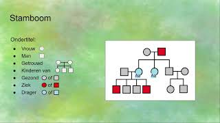 Stamboom erfelijkheid [upl. by Karr]