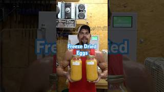 How to Freeze Dry Eggs eggs preserve freezedried homestead [upl. by Friedlander254]