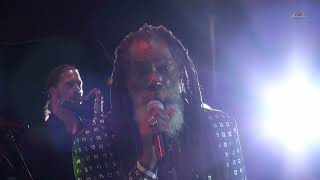 Don Carlos quotJust a Passing Glancequot  Ostróda Reggae Festival 2013 Poland [upl. by Yekcaj]