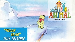 Animal Stories  Ep 10  Polar Bear [upl. by Sklar231]