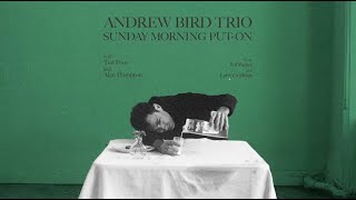 Andrew Bird  I Cover The Waterfront Official Audio [upl. by Asiat]