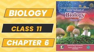 Biology 11 Chapter 6 Exercise New Book NBF 2024 Long Questions Complete Explanation  Federal Board [upl. by Aenet76]