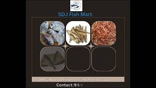 SDJ Fish Mart For Orders contact9848127279 [upl. by Ariaz]