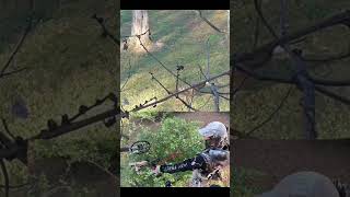 Archery saddle fall turkey hunt archery archeryhunting saddlehunting saddlehunter turkeyhunting [upl. by Ahsaten]