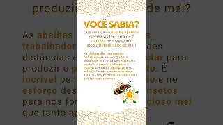 Você sabia que uma única abelha operária precisa visitar cerca de 2 milhões de flores para produzir [upl. by Bac]