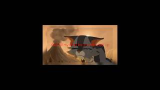 Ashfur edit All my tears have been used upAnother Love warriorcats sadsong editshorts [upl. by Ot344]