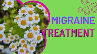 Feverfew to treat migraines [upl. by Neladgam]