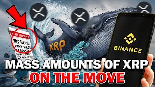 Ripple XRP News  🚨 BREAKING Massive XRP On The Move 🔥 3 Key Numbers You MUST Watch XRP Update [upl. by Cuttie]