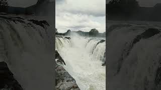 Today Hogenakkal tourism shorts reels video subscribe ✅ [upl. by Amesari]