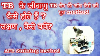 AFB staining method for TB How to stain procedure in हिंदी [upl. by Monti]