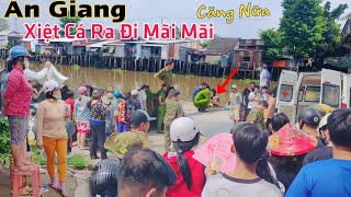 An Giang lại CĂNG ông lão 62T xiệt cá ra đi mãi mãi chỉ vì vài chục ngàn mưu sinh [upl. by Esaj]