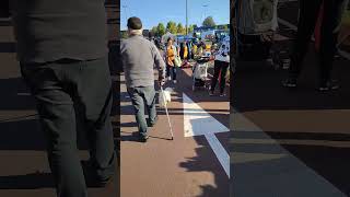 Un caniche blanc guide son propriétaire à travers le marché youtuber subscribedog [upl. by Attennek738]