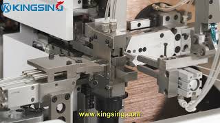 Automatic Wire Crimping Tinning and Twisting Machine [upl. by Fem]