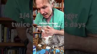 Hairball Remedy for Cats [upl. by Ellatsyrc559]