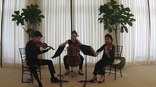 The VISION Collective  quotWaltzing Matildaquot arr Stephen Koncz [upl. by Elyse116]