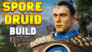 THE BEST Spore Druid Melee Hybrid Build for Baldurs Gate 3 [upl. by Reehsab802]