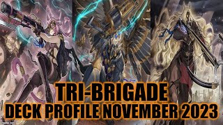 TRIBRIGADE DECK PROFILE NOVEMBER 2023 YUGIOH [upl. by Haliled]