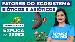 FATORES DO ECOSSISTEMA bióticos e abióticos  Biologia  Explica do Zero  Cláudia de Souza Aguiar [upl. by Nessah]