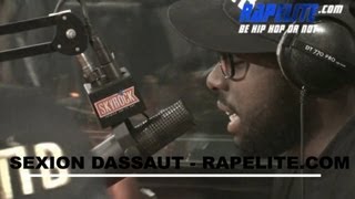 Sexion dAssaut  Live Morceau Desolé [upl. by Celio736]