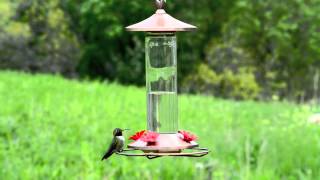 PerkyPet® Elegant Copper Glass Hummingbird Feeder [upl. by Enitsirk]