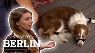 Zwischen Entführung und Erpressung Besitzerin und Hund in Gefahr  Auf Streife  Berlin  SAT1 TV [upl. by Ellenehs]