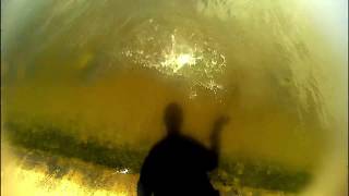 5 seconds Flounder blows up right at the waters edge [upl. by Ellen]