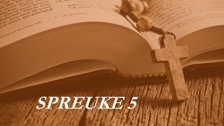 Spreuke 5  Ane Groenewald [upl. by Ellehcyar]