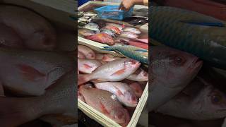 Закупаемся рыбой на рыбном рынке Бали  Jimbaran Fish Market 🐠🐟🐡 [upl. by Anniala]