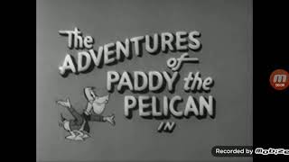 The Adventures of Paddy the Pelican  All openings and closings [upl. by Garretson]