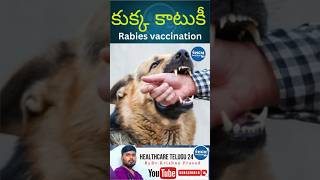 కుక్క కాటుకు వెంటనే ఇలా చేయండి  Dog bite  Rabies vaccination  Healthcaretelugu24  health facts [upl. by Eirolam]