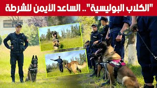 تعتبر عنصر أساسي في مهام الأمن تعرفوا على أنواع الكلاب البوليسية في الجزائر 🐕‍🦺🐕‍🦺 شاهدوا [upl. by Marcela433]