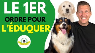 Le 1er Ordre Pour Dresser Ton Chiot ou Ton Chien  Education Chien [upl. by Aaberg]