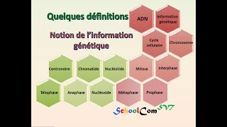 Quelques définitions  Notion de l’information génétique [upl. by Siobhan]