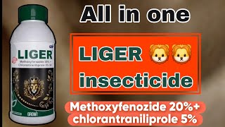 GSP LIGER INSECTICIDE liger gsp Methoxyfenozide 20 chlorantraniliprole 5 a2farming [upl. by Roberta]