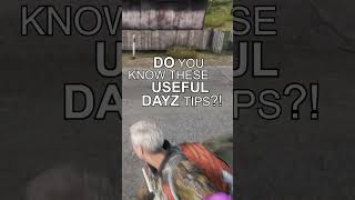 5 Crucial DayZ Tips You NEED to Know🧠 [upl. by Eoz328]