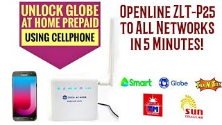 How to Openline wifi Globe at home prepaid [upl. by Auqinihs401]