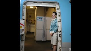 Korean Air Seoul to Tokyo Narita economy class [upl. by Kimon]