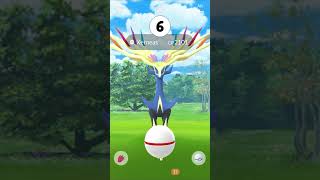 Did We Get✨SHINY XERNEAS✨With EXCLUSIVE MOVE  Pokemon Go Xerneas Raid Hour [upl. by Annaira94]